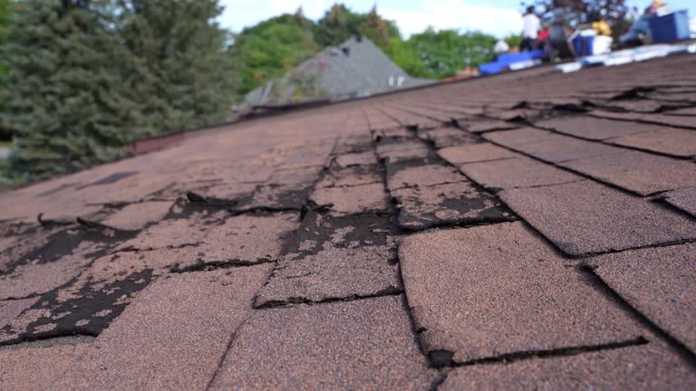 Best Roof Maintenance and Cleaning  in Lincoln University, PA